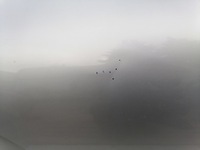 фото thumb №10, Дверь правый задняя seat leon ii l57y