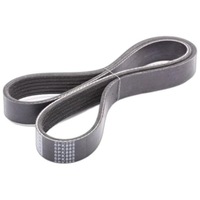 фото thumb №1, Ремінь клиновий багатореберний do nissan maxima qx iv