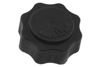 фото thumb №5, Кришка бака розширювальний mini r53 02-