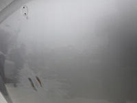 фото thumb №8, Mercedes clk c209 w209 02-09 капот крышка двигателя