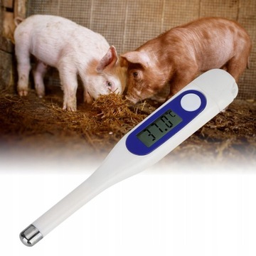 Weterynaryjny termometr elektroniczny LCD cyfrowy
