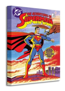 DC Comics Superman Orzeł Obraz na płótnie 30x40 cm
