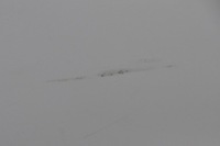 фото thumb №7, Hyundai i40 двері лівий задня задні kombi