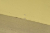 фото thumb №8, Дверь левая перед передние жёлтые skoda citigo 1 i 3d hb lift 17-20