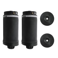 Купить 2513200425 2x подушка пневмоподушка do mercedes w251 v251, фото thumb