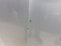 фото thumb №4, Капот skoda octavia 5e0 iii 2012-2016r