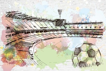 Tapeta młodzieżowa stadion piłka nożna 368x248