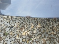 фото thumb №10, Audi a4 b8 рестайлинг!!! капот передняя крышка двигателя daytonagrau lz7s 23