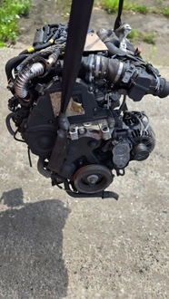 фото thumb №8, Двигатель 9hx 9hz 9h01 9h02 citroen berlingo 1.6hdi