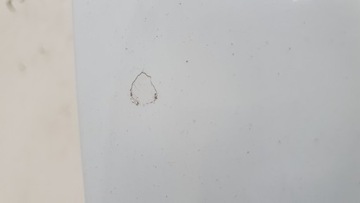 фото thumb №7, Двері перед передні праві vw arteon 3g8831312g