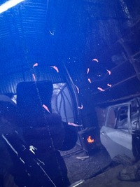 фото thumb №2, Капот кришка двигуна renault clio iv 4