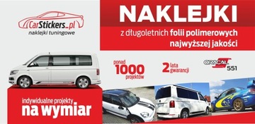 Наклейки на автомобиль VW T5 multivan Edition 25