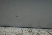 фото thumb №11, Дверь правый перед opel insignia a z176