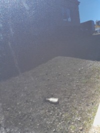 Капот alfa 159 czarna Доставка, фото thumb