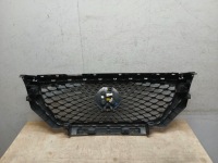 Решітка  решітка радіатора камера mg hs 10021164 Оригінал, фото thumb