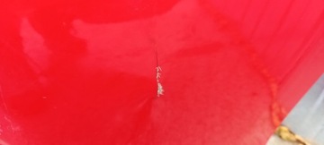 фото thumb №7, Honda civic x r тип бампер перед переднее