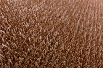 AstroTurf ORGINALNA wycieraczka Brąz 05 - 91cm