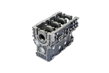 498BT-01001 Blok silnika