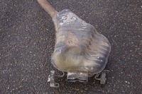 фото thumb №6, Выхлоп гаситель конечный vw phaeton w12 6.0 3d0253611c 3d0253611b 3d0253411c