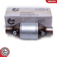 фото thumb №1, Катализатор