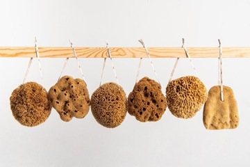 Губка натуральная HONEYCOMB размер M UBO