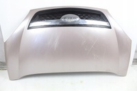 фото thumb №1, Капот мікрокар m.go 2011