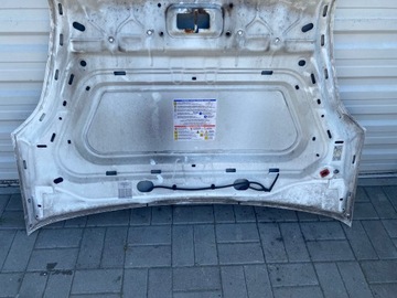 фото thumb №8, Капот кришка двигуна fiat doblo ii eu колір 263