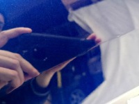 фото thumb №15, Новый org бампер перед передний 6xpdc r-line vw tiguan ii 5na 5na807221d