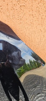 фото thumb №4, Volvo xc60 ii капот кришка відсік двигуна оригінальна