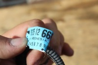 Lexus ux 2021 жгут форсунок с Разборки, фото thumb