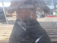 фото thumb №5, Opel zafira b 13r двері праве перед