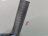 фото thumb №10, Дверь перед правое peugeot 2008 i 13-19 белый kwe