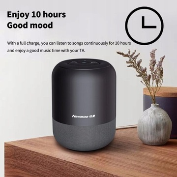Bluetooth-динамик Newmine BT51, компьютерный динамик