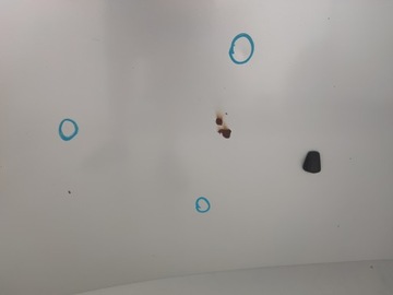 фото thumb №8, Капот кришка двигуна mazda 6 gg i 1