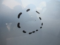 фото thumb №6, Двері задня задні ліва seat exeo kombi