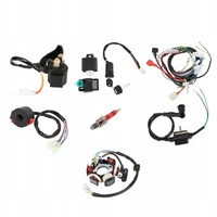 фото thumb №8, Quad жгут трубопровод cdi кабели w жгут