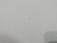 фото thumb №9, Капот mercedes b klasa w247 hal 8741