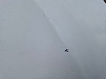 фото thumb №7, Renault megane iii 3 капот кришка двигуна перед передня