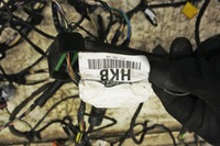 фото thumb №9, Na157 ford transit connect mk2 джгут інтер'єру