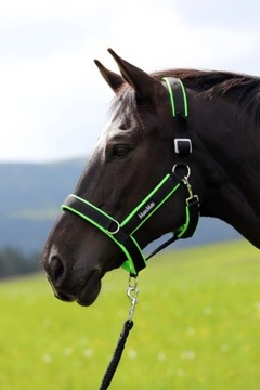 KANTAR MANMAT STABLE HALTER BRĄZOWY L