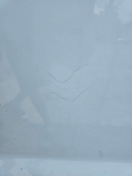 фото thumb №7, Дверь правые перед передние opel vivaro a 01-14 год комплект. белый рестайлинг