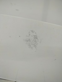 Renault kangoo 2 07r- капот крышка двигателя o389 0389 Киев, фото thumb