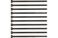 Reinz 14-32221-01 набір гвинт головки циліндрів Київ, фото thumb