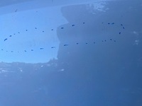 фото thumb №3, Капот vw t roc t-roc кришка двигуна 2ga