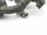 фото thumb №6, Toyota corolla e210 e21 2021 жгут двигателя