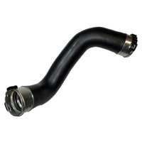 фото thumb №1, Bugiad 81788 шланг повітря наддувний