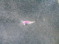 фото thumb №13, Коврик обшивка задний ford mondeo mk5 kombi хэтчбек