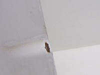 фото thumb №6, Iveco eurocargo ii 02-08 двері праве