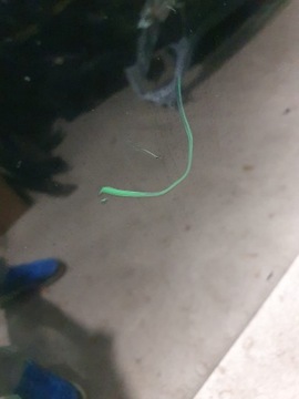 фото thumb №6, Капот крышка двигателя bmw 5 e60 e61 оригинал