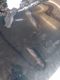 фото thumb №15, Kompletny перед vw tiguan i lift 2.0 tdi капот бампер крила x